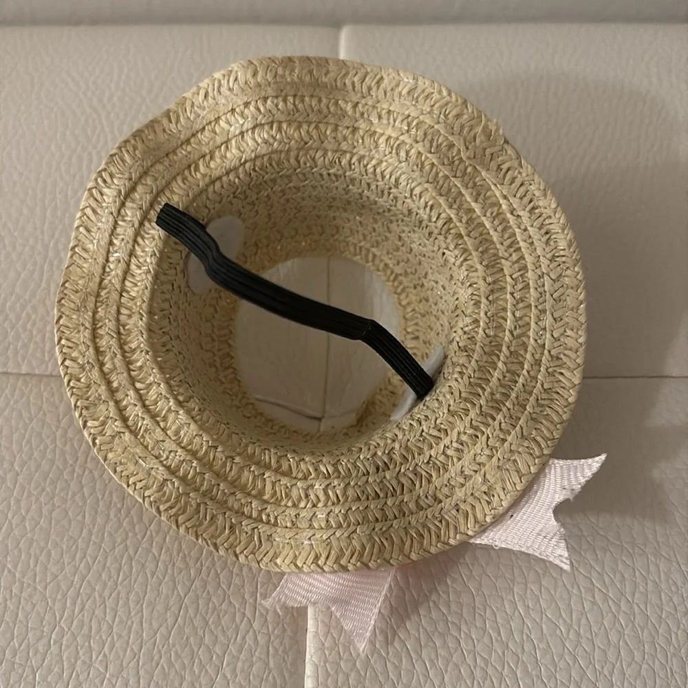 NEW Handmade Cute hat for your dog/cat. Dior ribbon is authentic